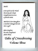 Tales of Crossdressing Vol 3